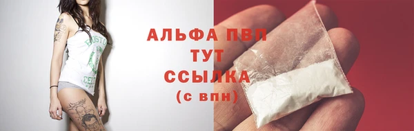 бошки Лабытнанги