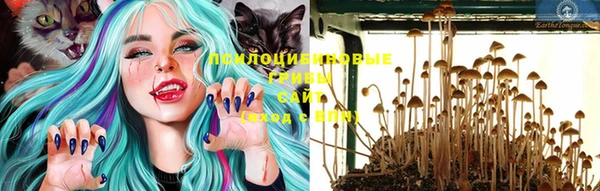 бошки Лабытнанги