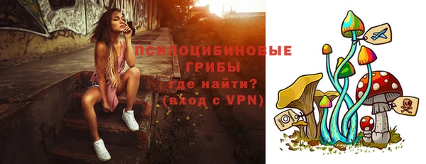 бошки Лабытнанги