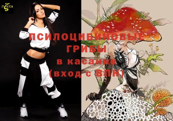 бошки Лабытнанги