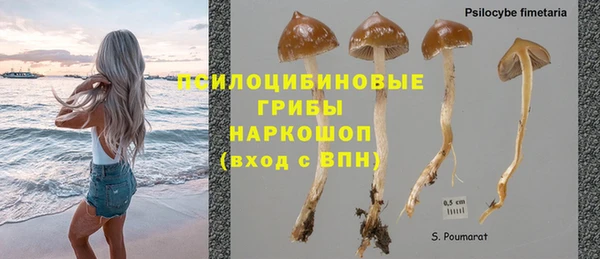 соль курить ск Ладушкин