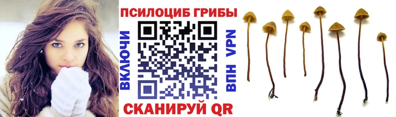Галлюциногенные грибы мухоморы  Купить закладки  Новосиль 